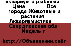 аквариум с рыбками › Цена ­ 15 000 - Все города Животные и растения » Аквариумистика   . Свердловская обл.,Ивдель г.